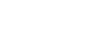 Nexus Partners Logo